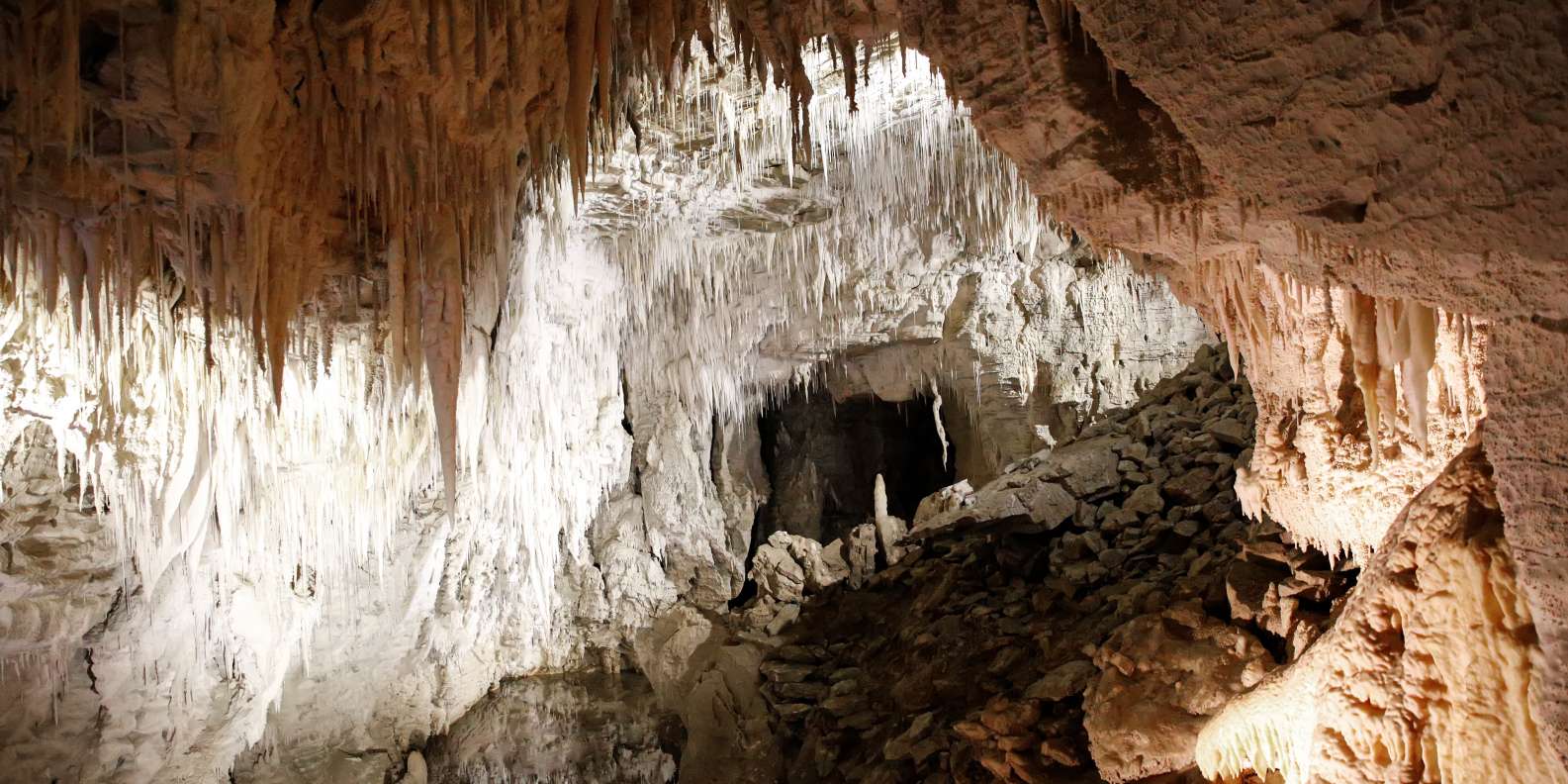 Cuevas de Waitomo