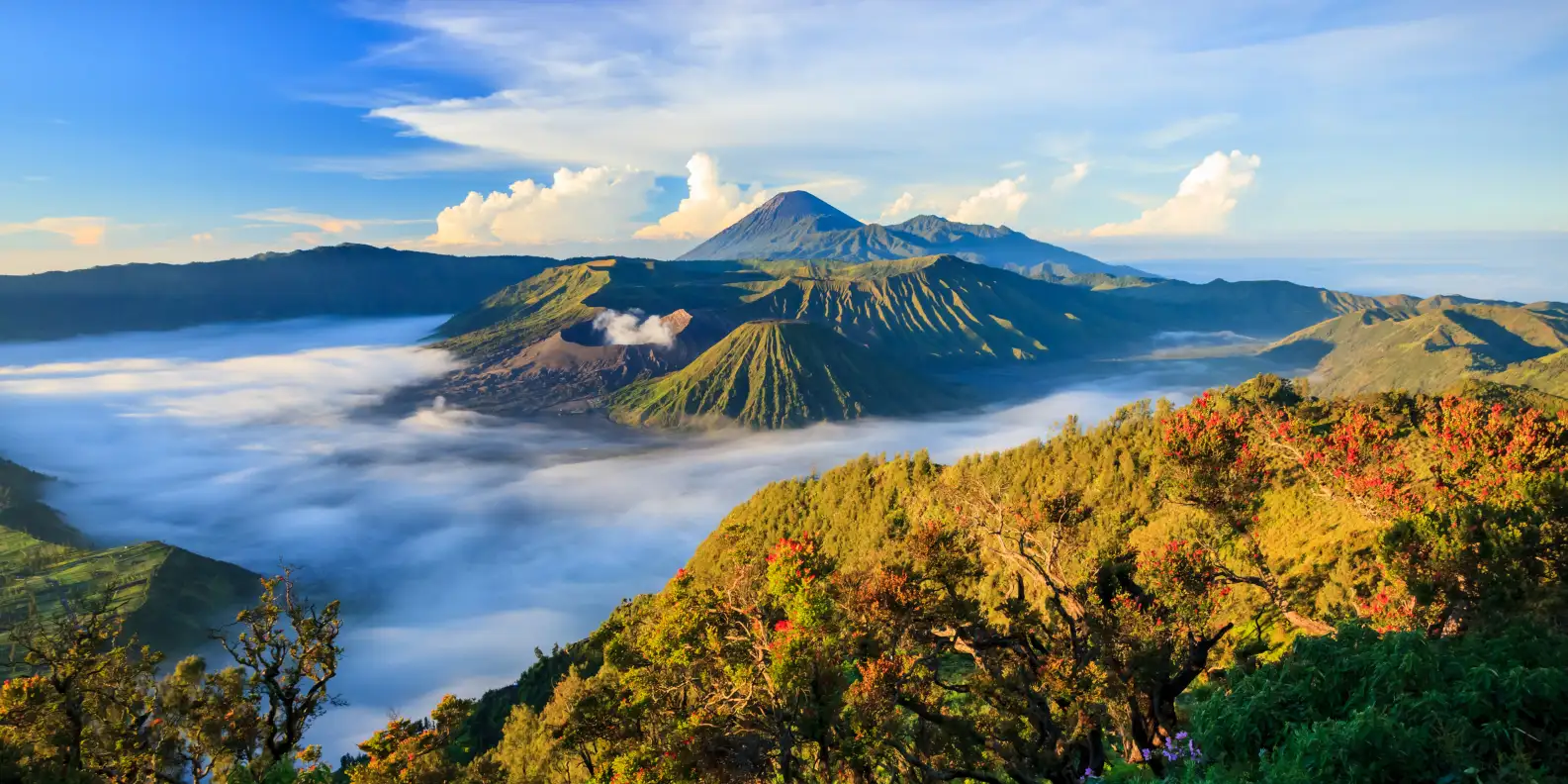 Indonesia