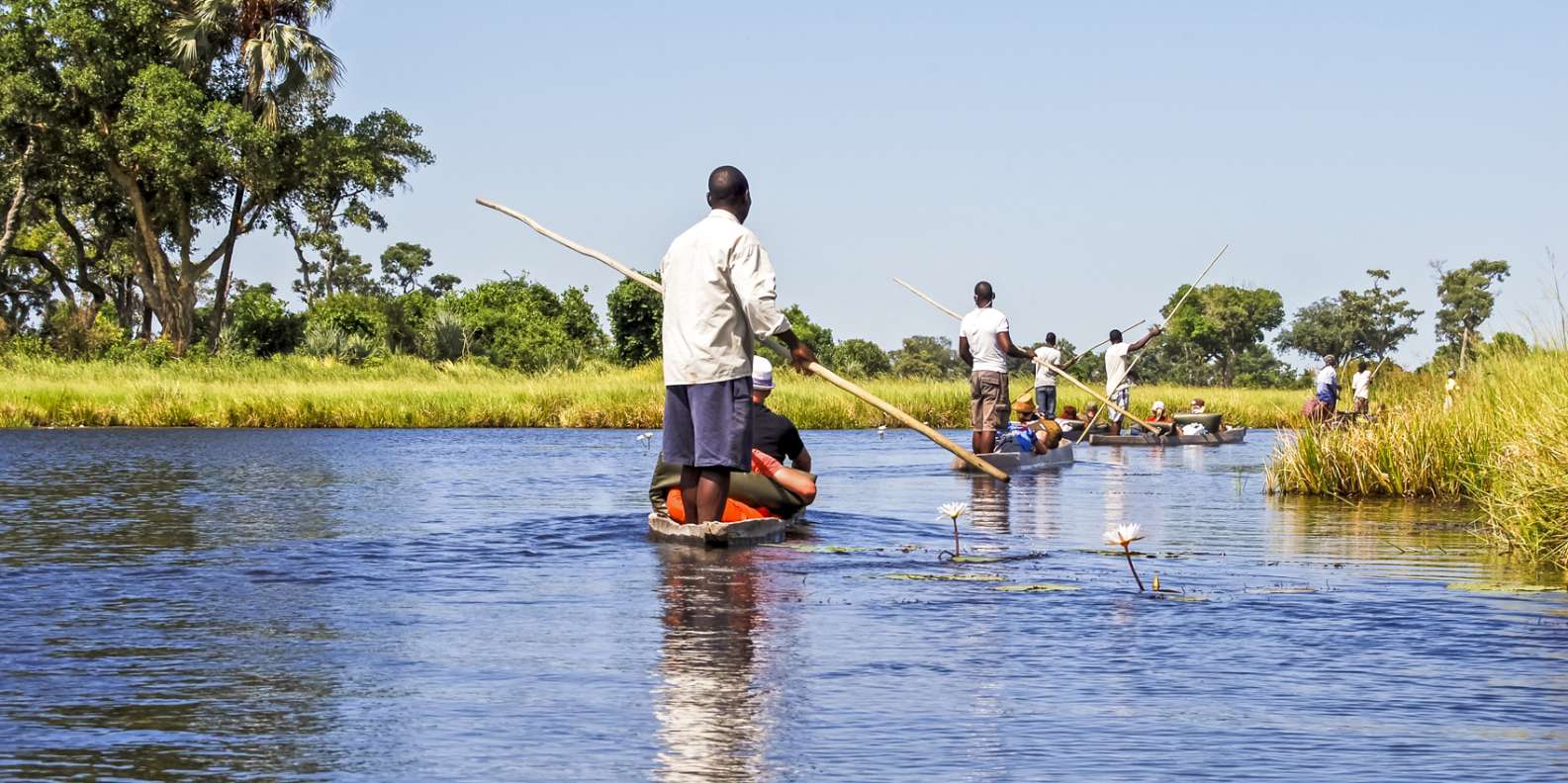 Maun