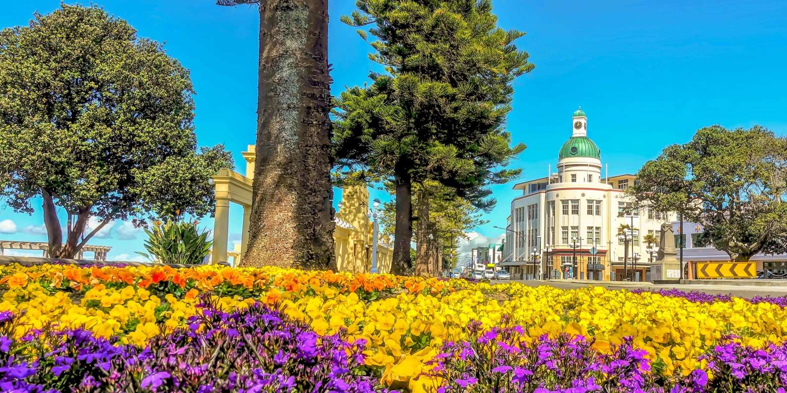 Napier