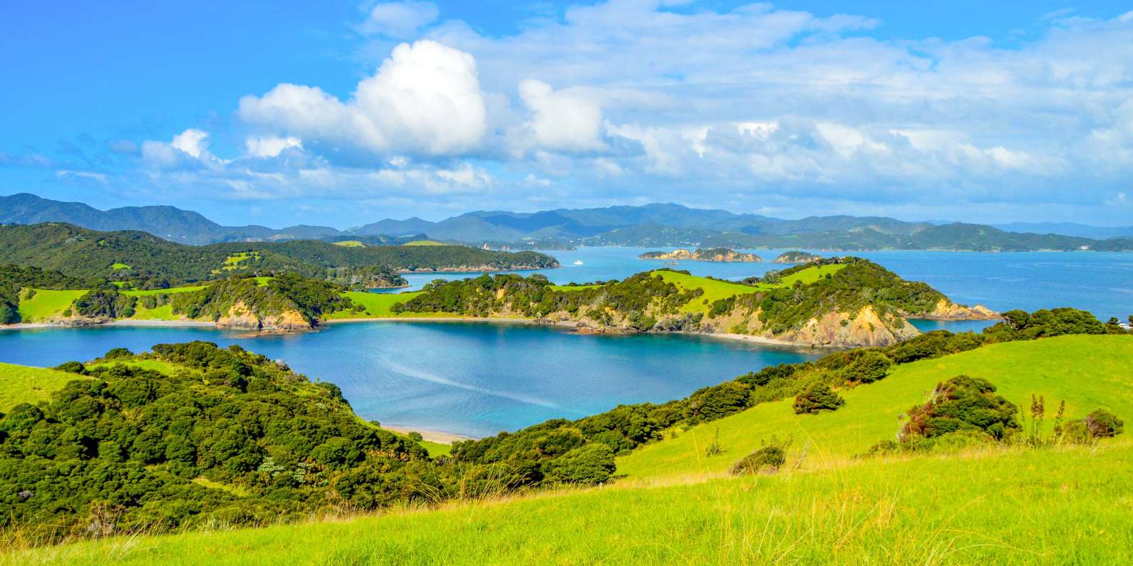 Paihia