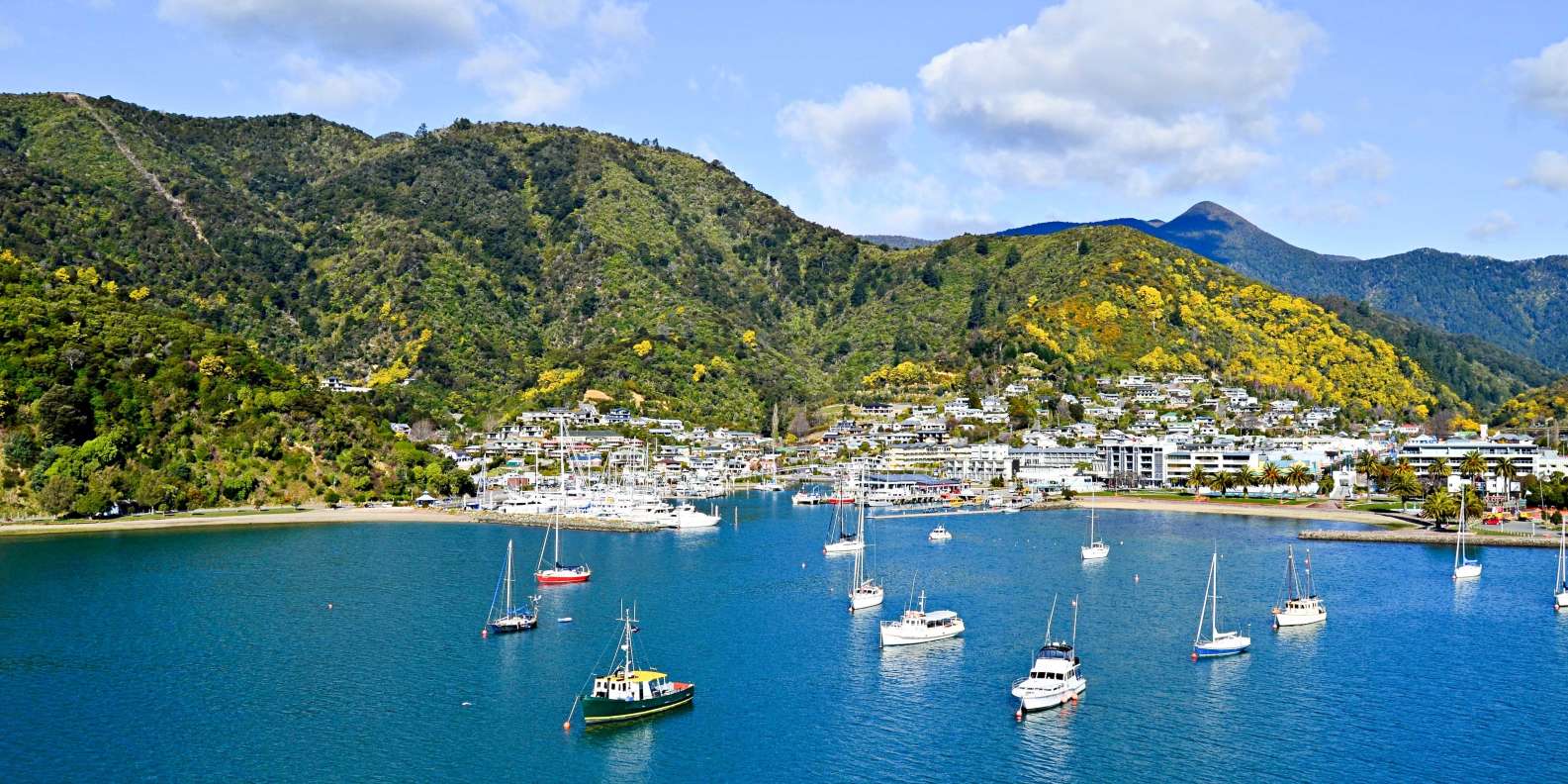 Picton