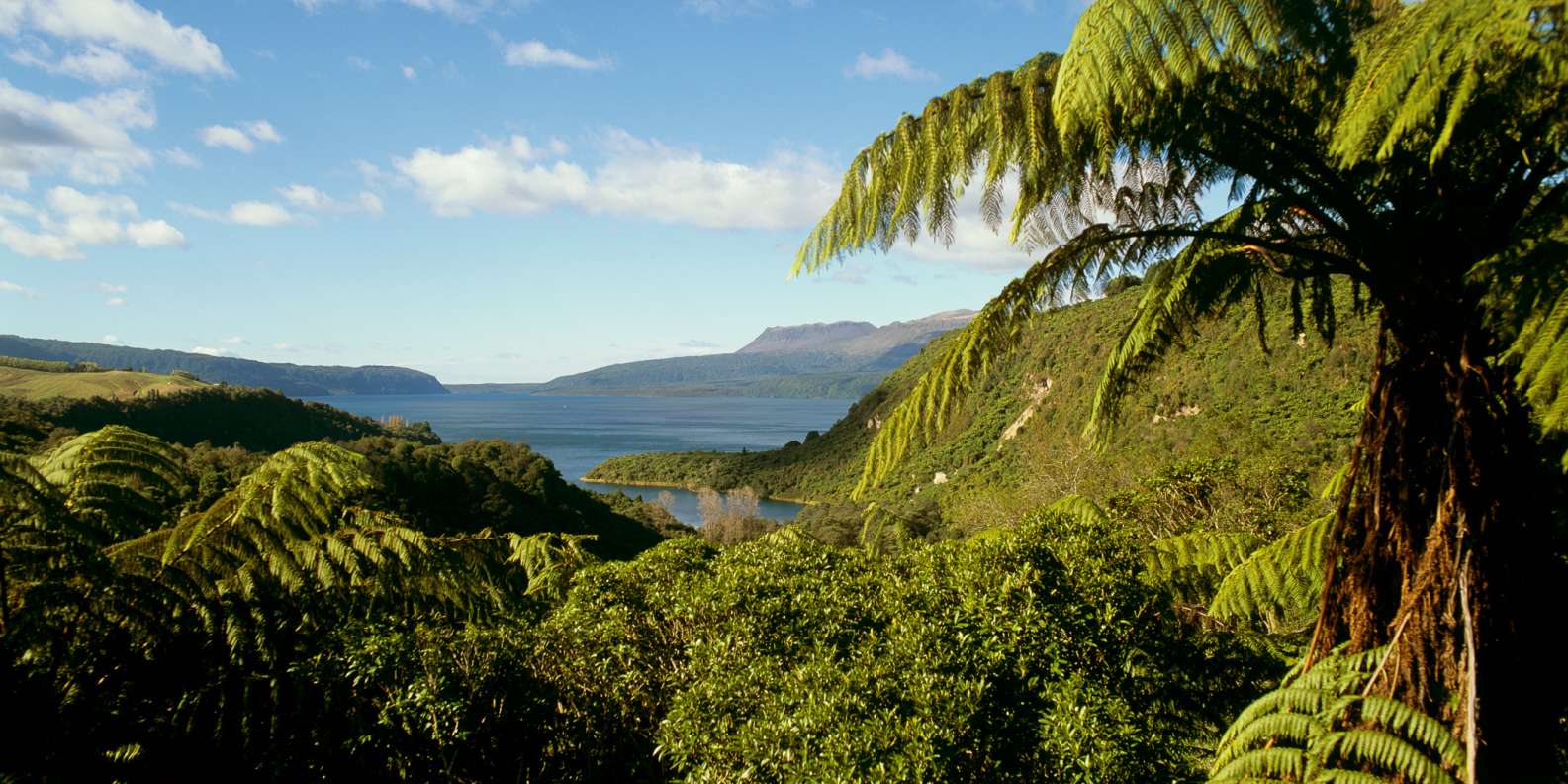 Tarawera