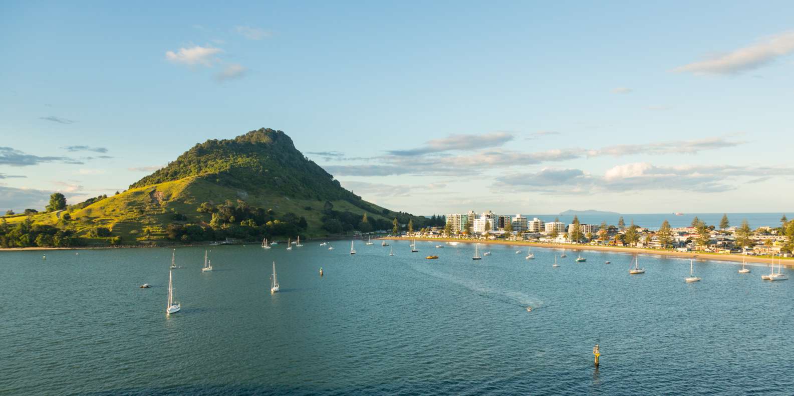 Tauranga