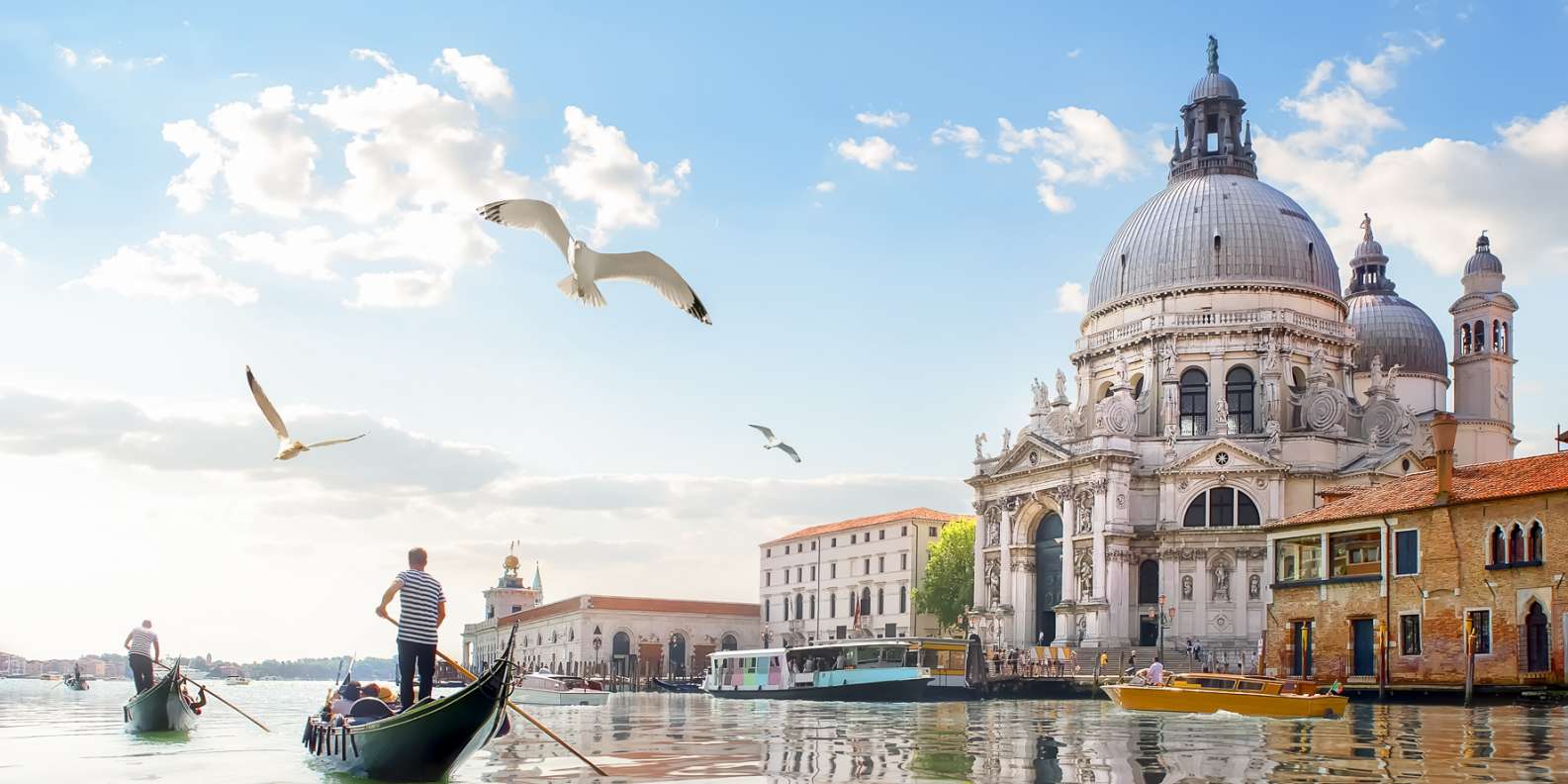Venecia