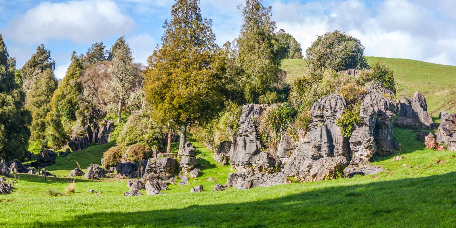 Waitomo