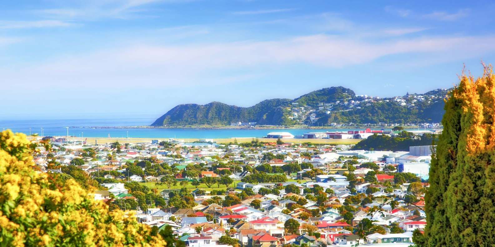 Wellington