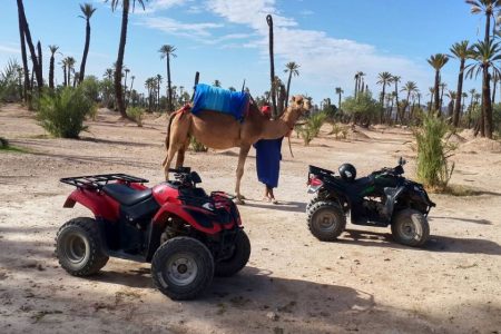 Marrakech: 2 horas en quad y paseo en camello en Palmeraie