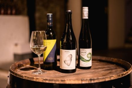 Viena: Cata de vinos guiada en una bodega privada