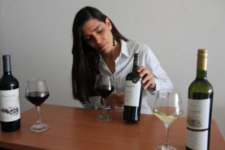 Buenos Aires: experiencia de cata de vinos con malbec