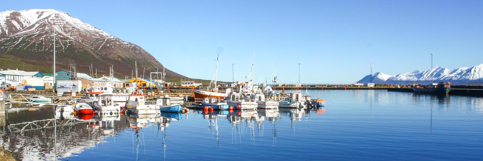Dalvík