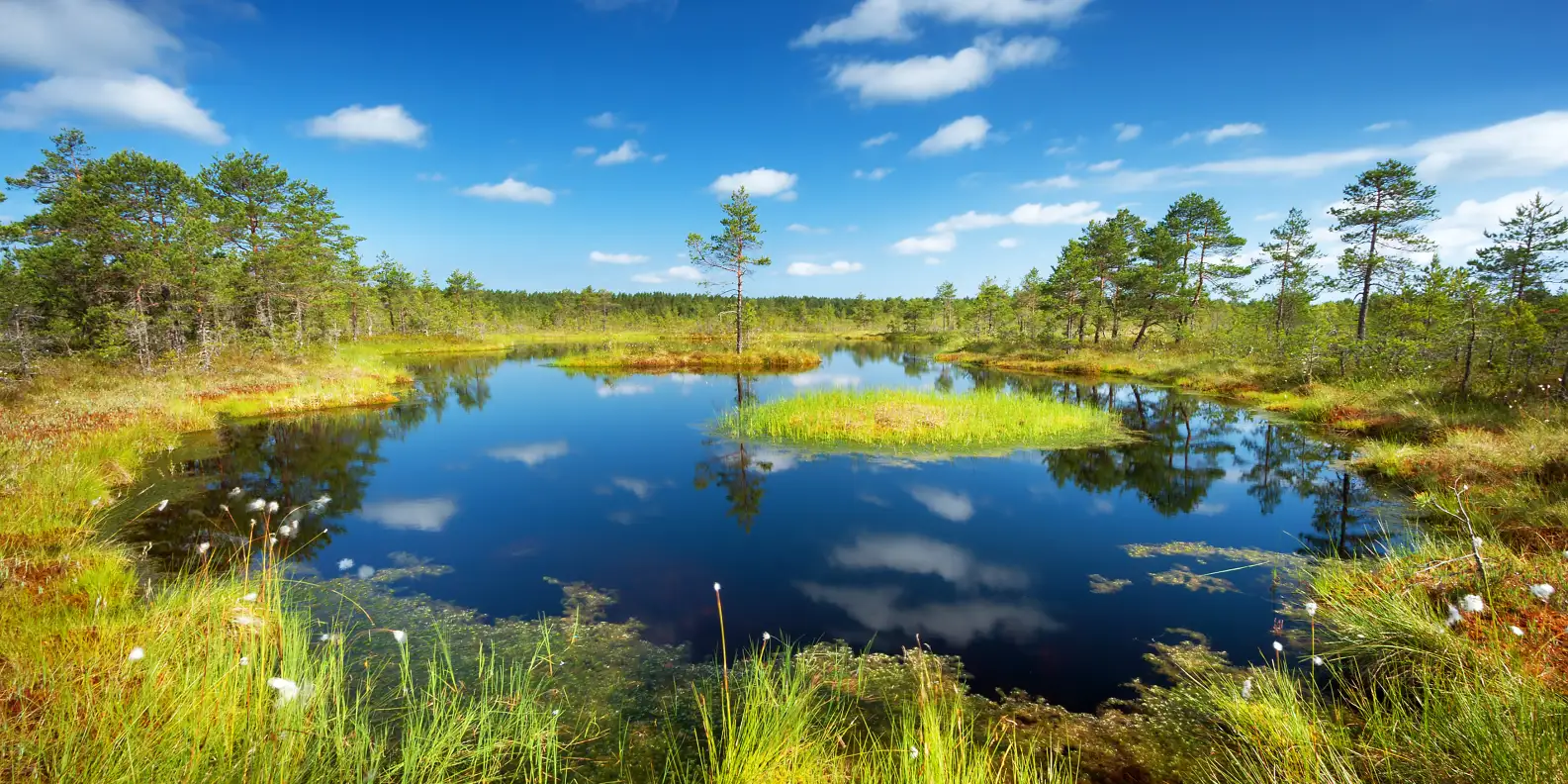 Estonia