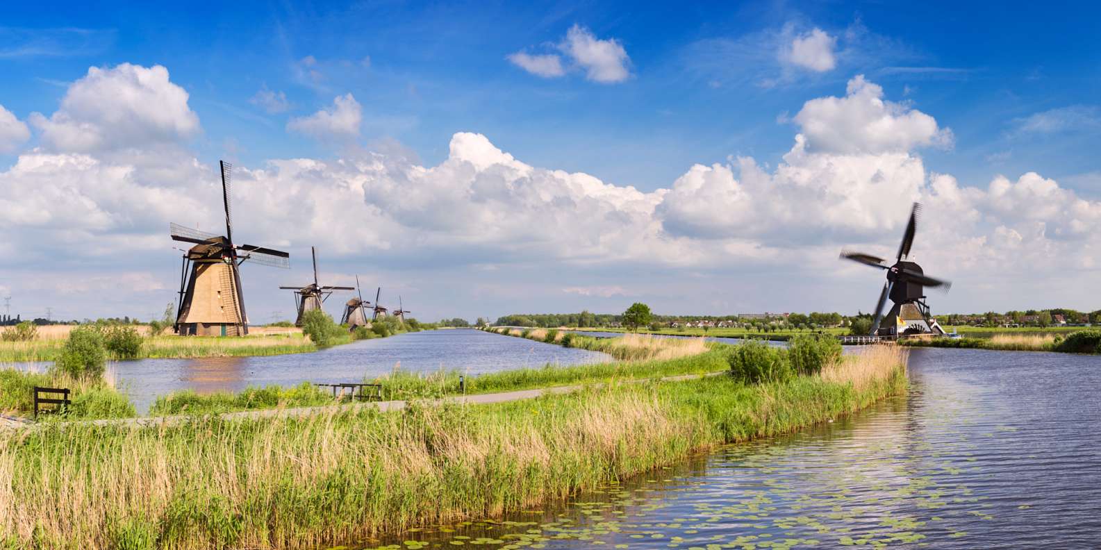 Kinderdijk