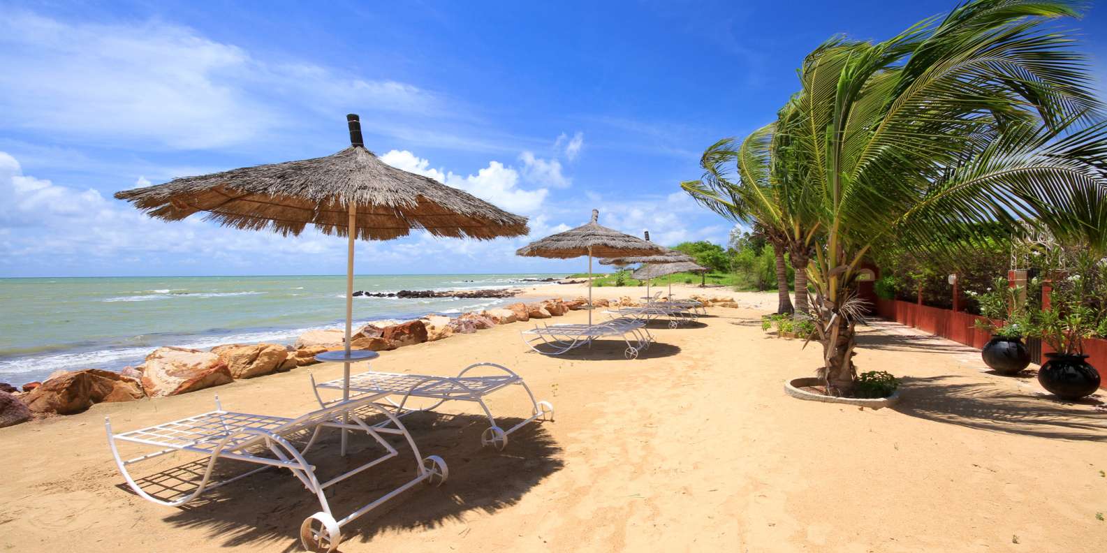 Saly