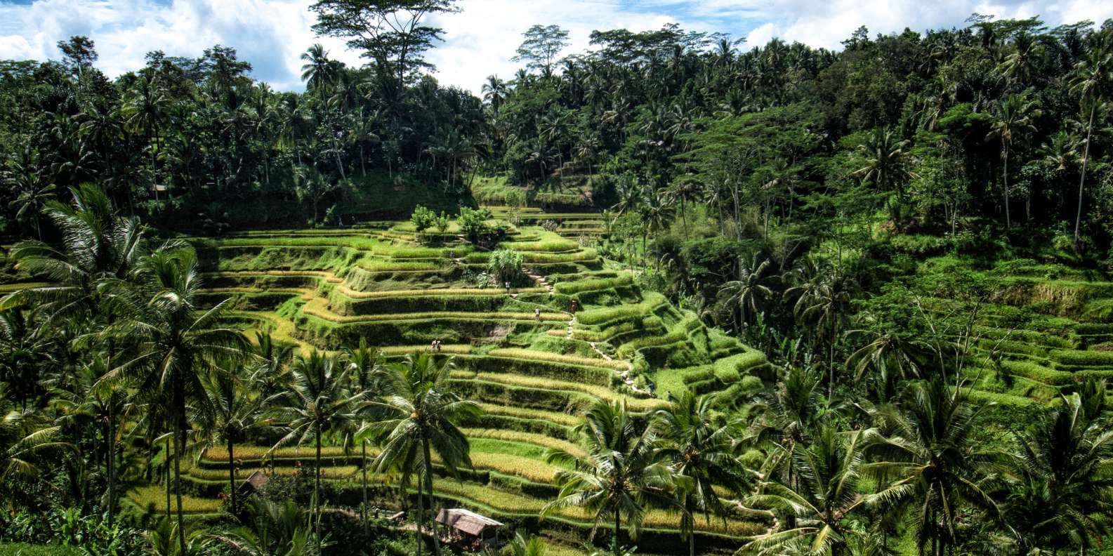 Ubud